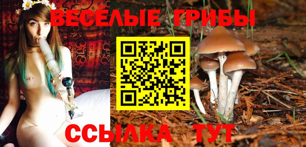 Кубинка  Галлюциногенные грибы GOLDEN TEACHER  Вход с VPN 