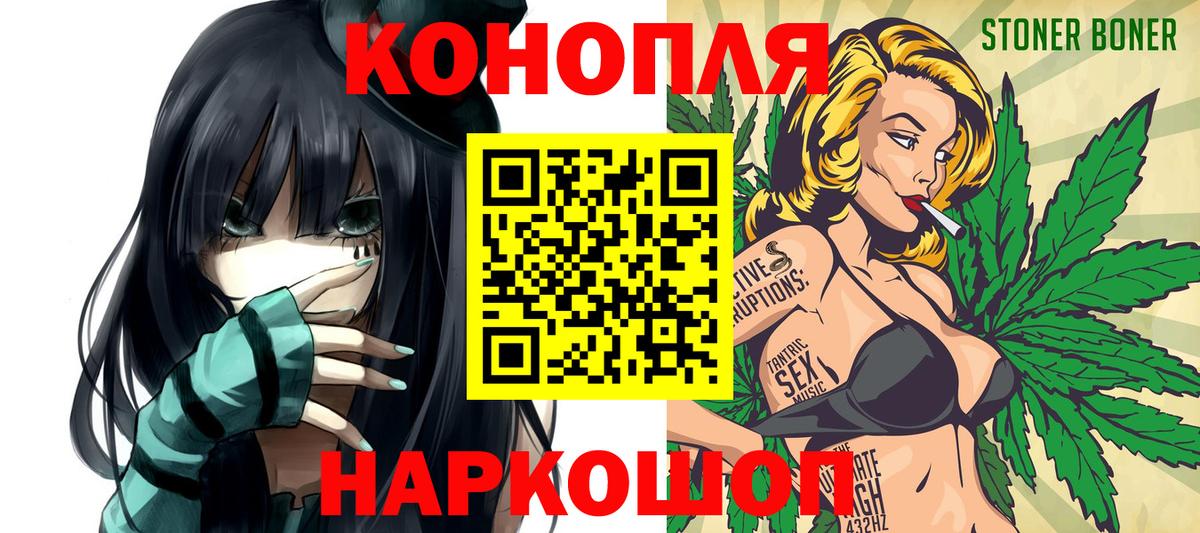 Бошки Шишки план Кубинка